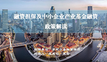 融资担保及中小企业产业基金融资政策解读